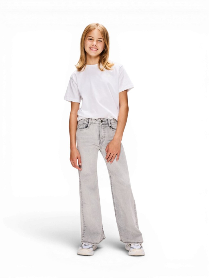 Lichtgrijze straight jeans Celeste Retour