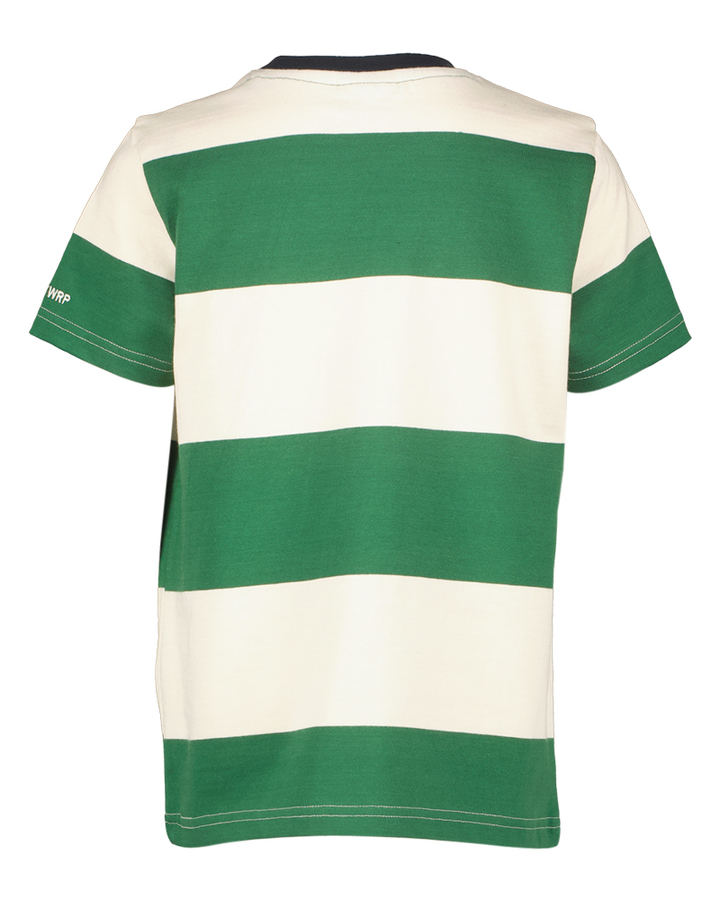 Groene gestreepte T-shirt  Antwrp