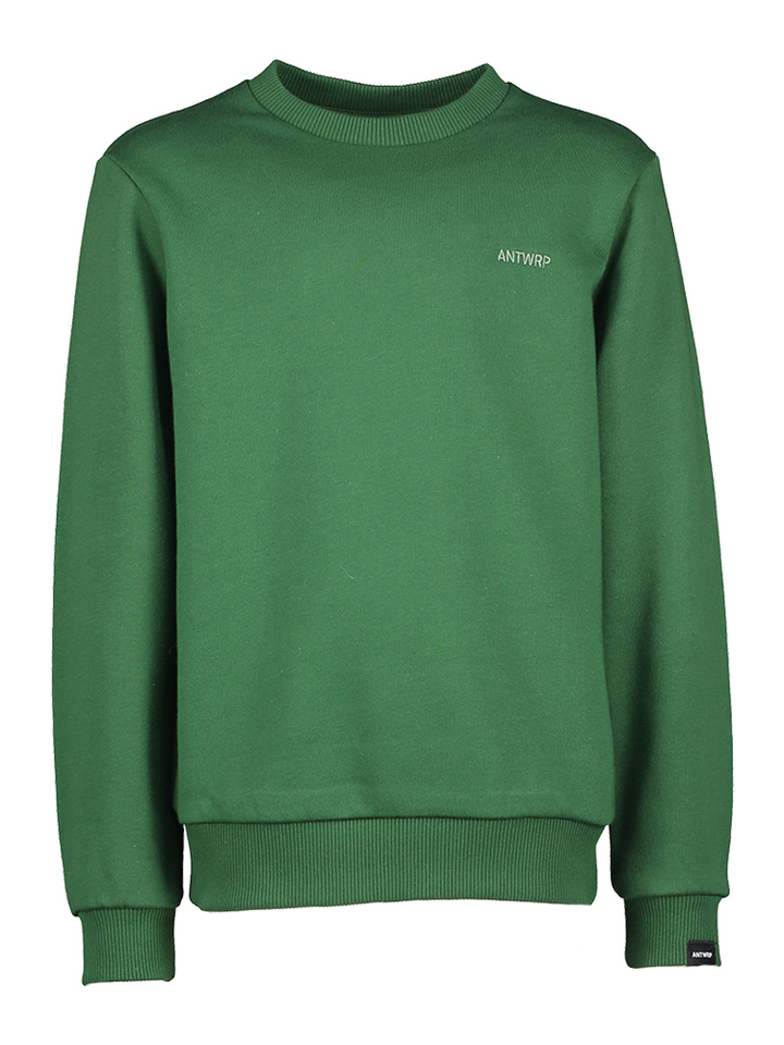 Groene katoenen sweater met print Antwrp