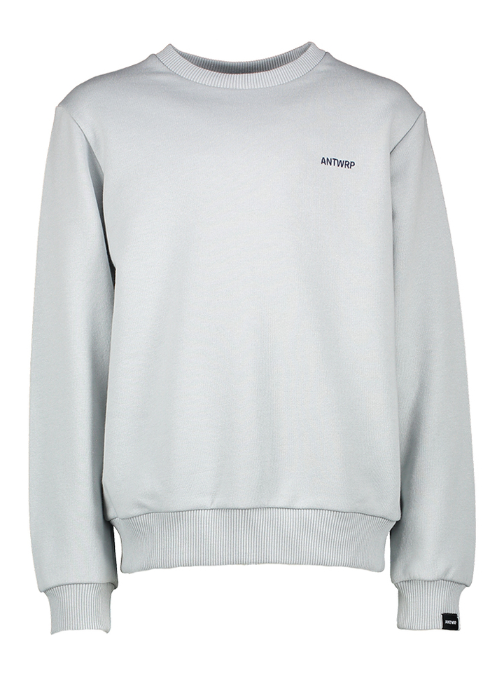 Lichtblauwe katoenen sweater met print Antwrp