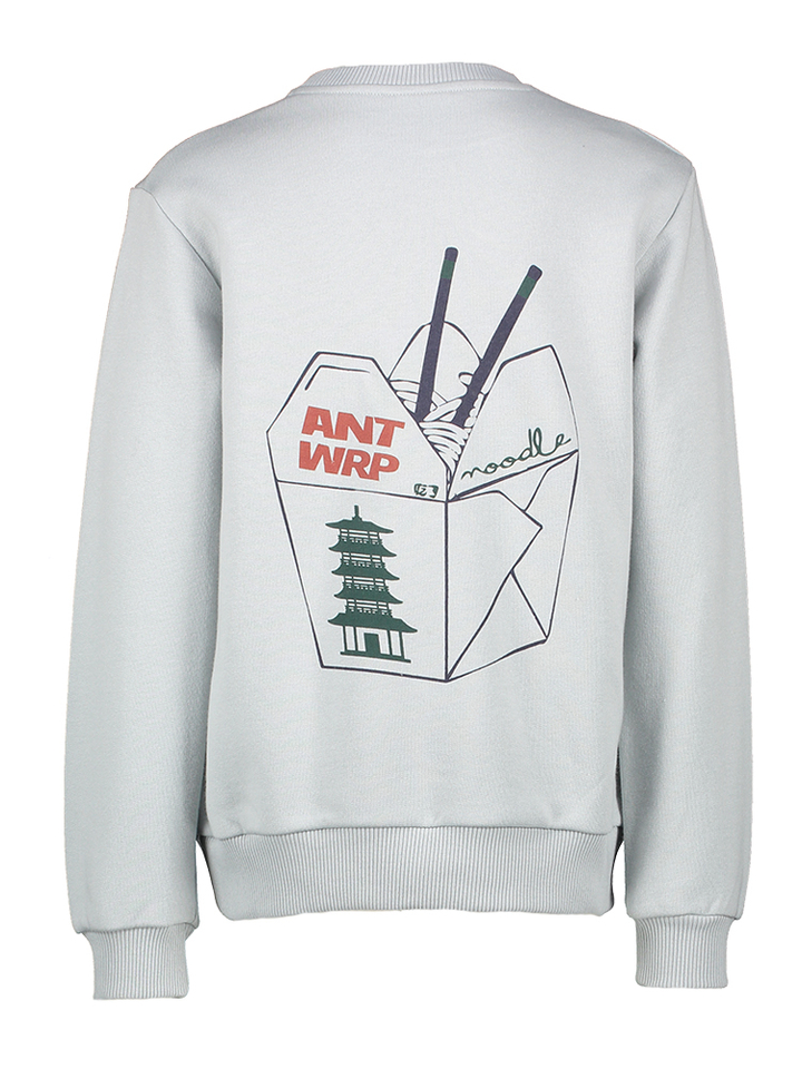 Lichtblauwe katoenen sweater met print Antwrp