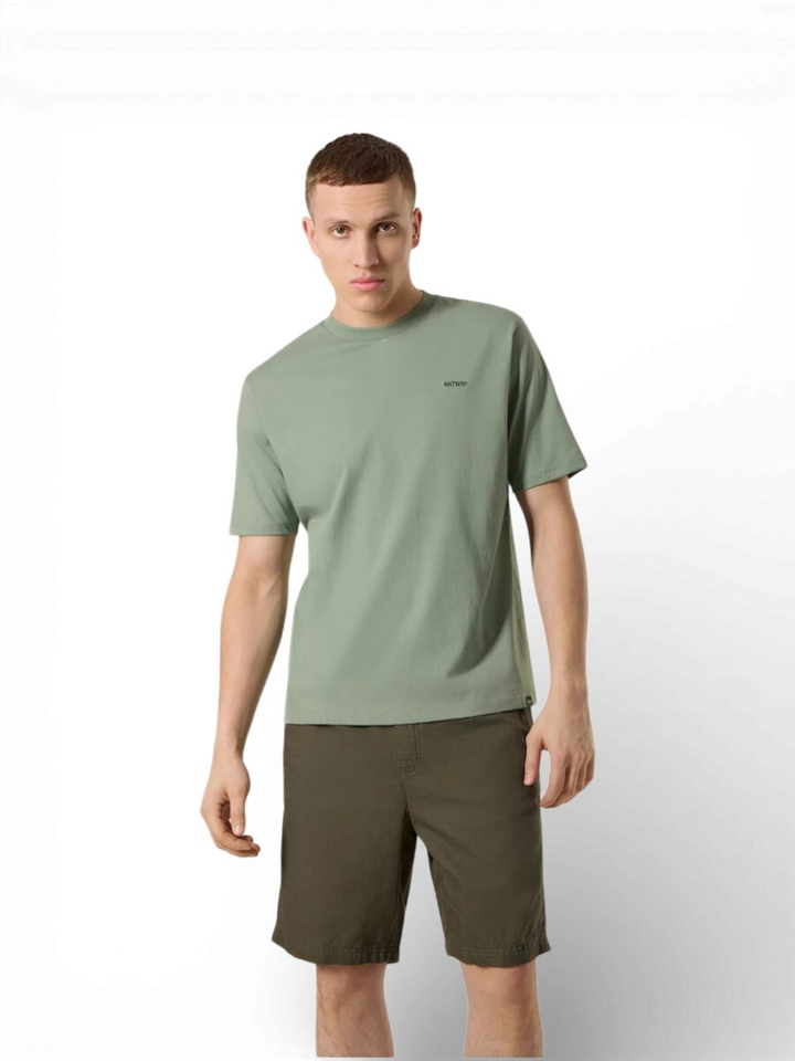 Pastel groene t-shirt met backprint Antwrp 