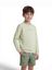 Lichtgroene sweater met ronde hals  Paul&Shark