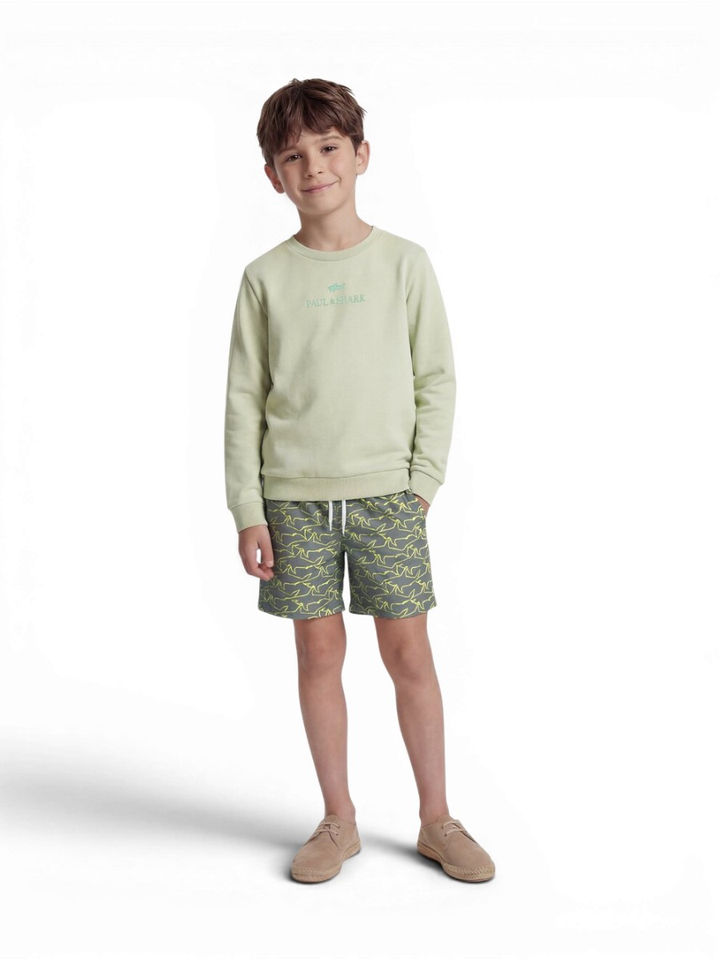Lichtgroene sweater met ronde hals  Paul&Shark