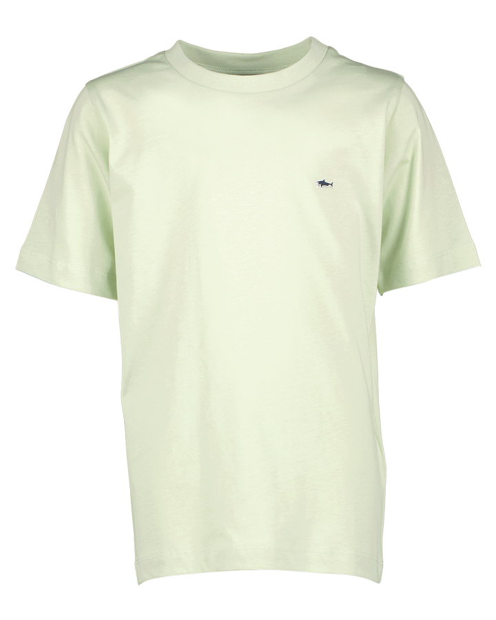 Lichtgroene katoenen T-shirt Paul&Shark