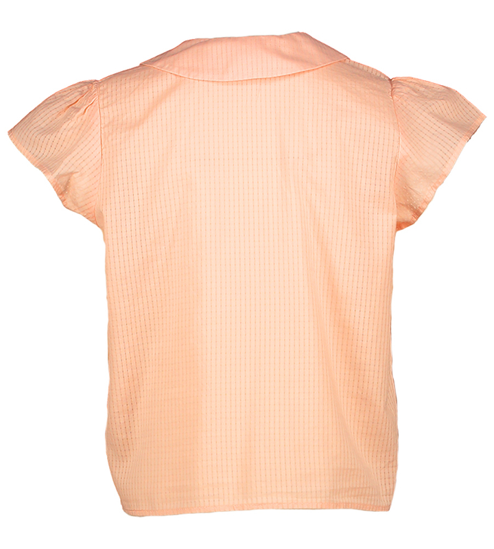 Licht roze bloes met kraag Xamari Morley