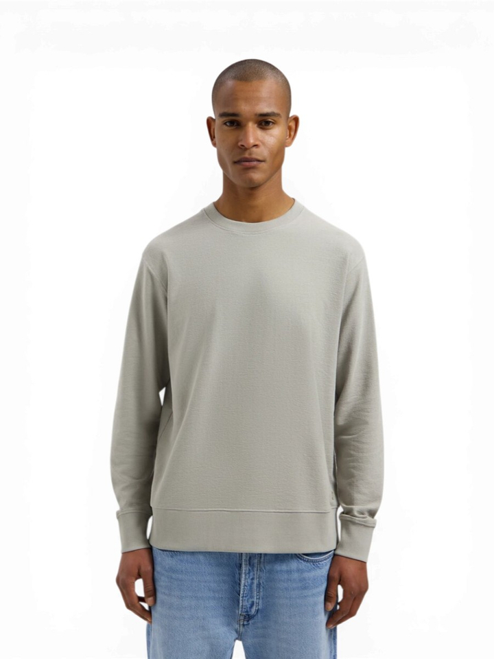 Grijze katoenen sweater met ronde hals Lasse Dstrezzed