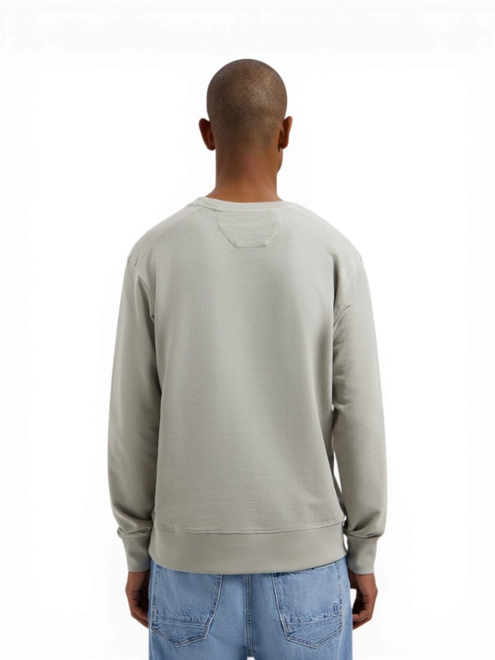 Grijze katoenen sweater met ronde hals Lasse Dstrezzed