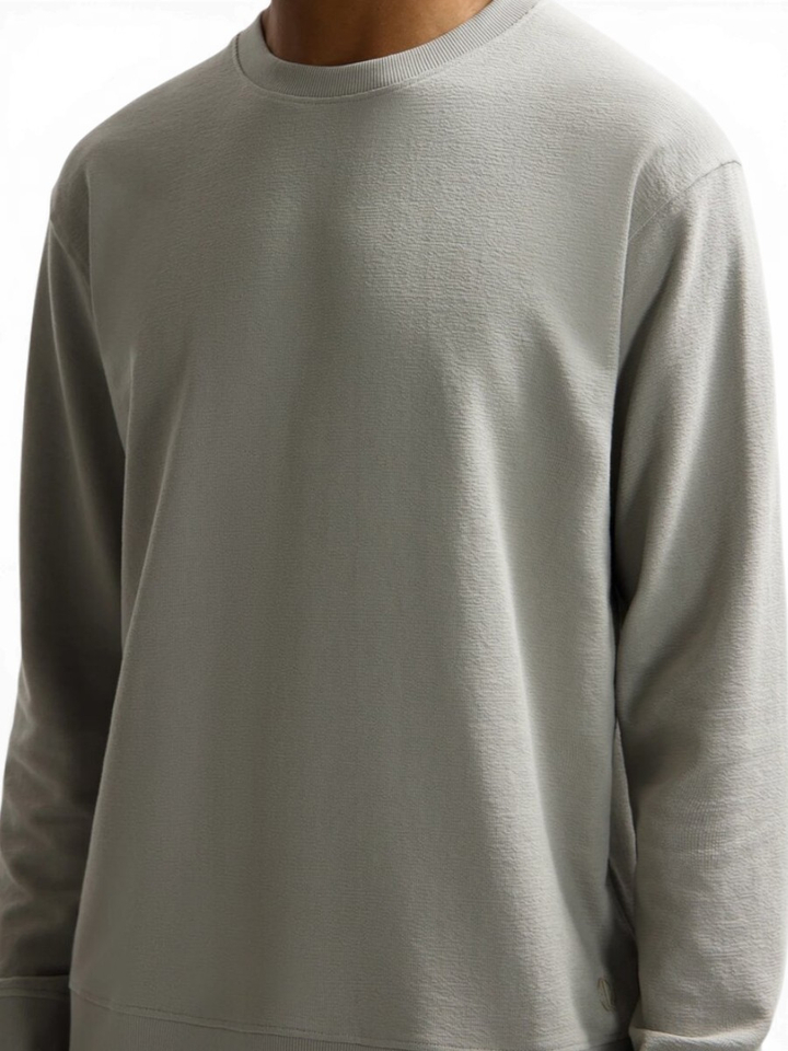 Grijze katoenen sweater met ronde hals Lasse Dstrezzed
