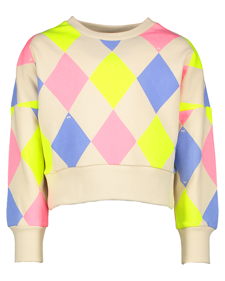 Multi color geruite sweater AO76