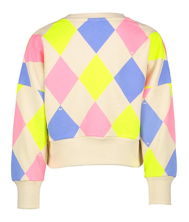 Multi color geruite sweater AO76