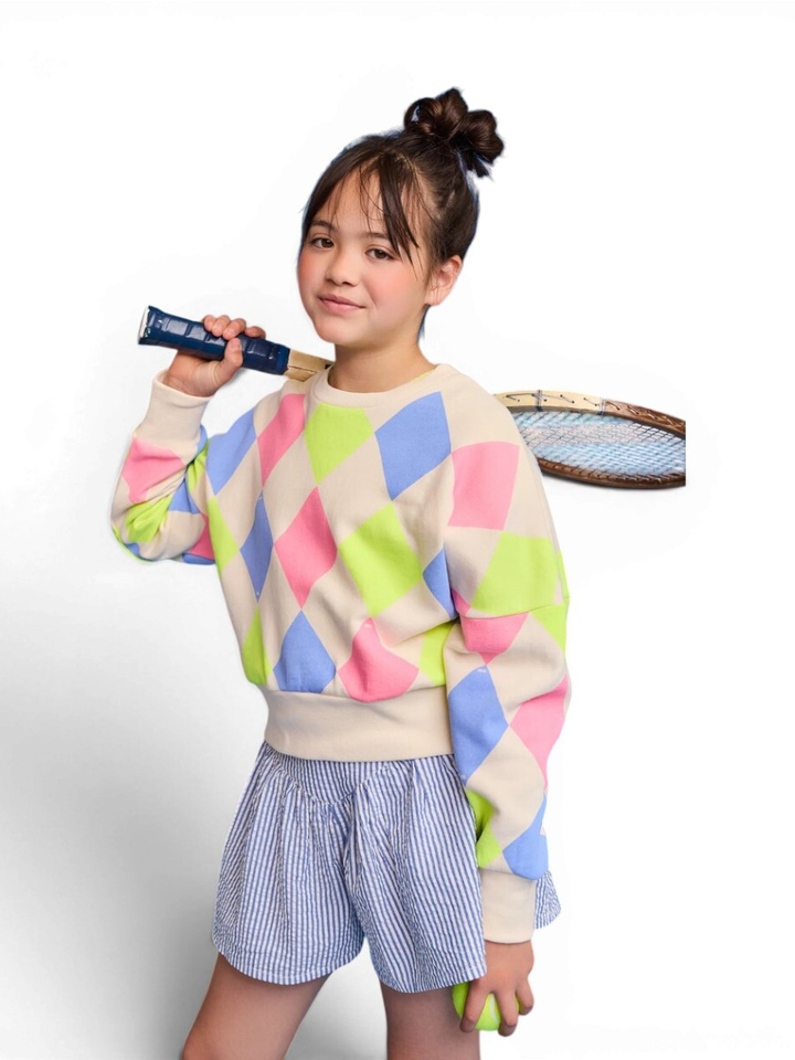 Multi color geruite sweater AO76