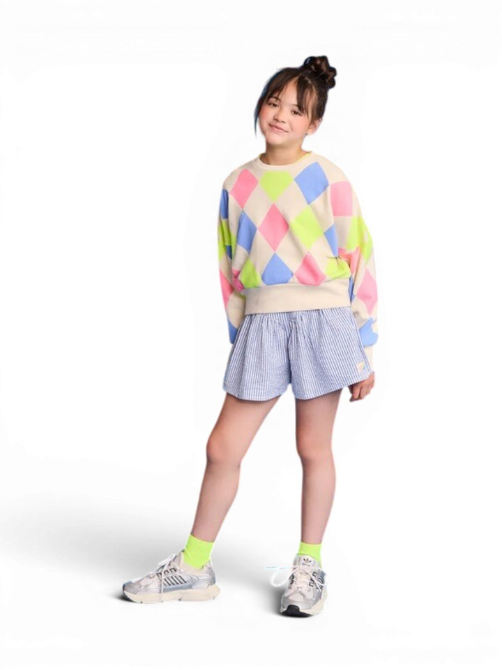 Multi color geruite sweater AO76