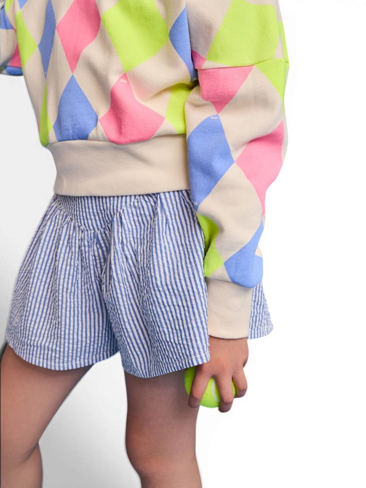 Multi color geruite sweater AO76