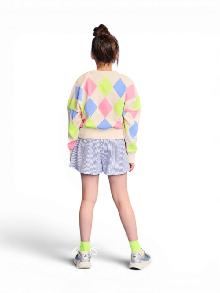 Multi color geruite sweater AO76
