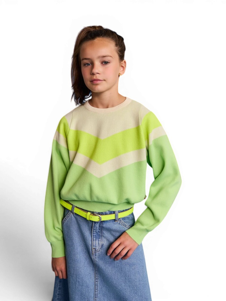 Groene trui multi-color AO76