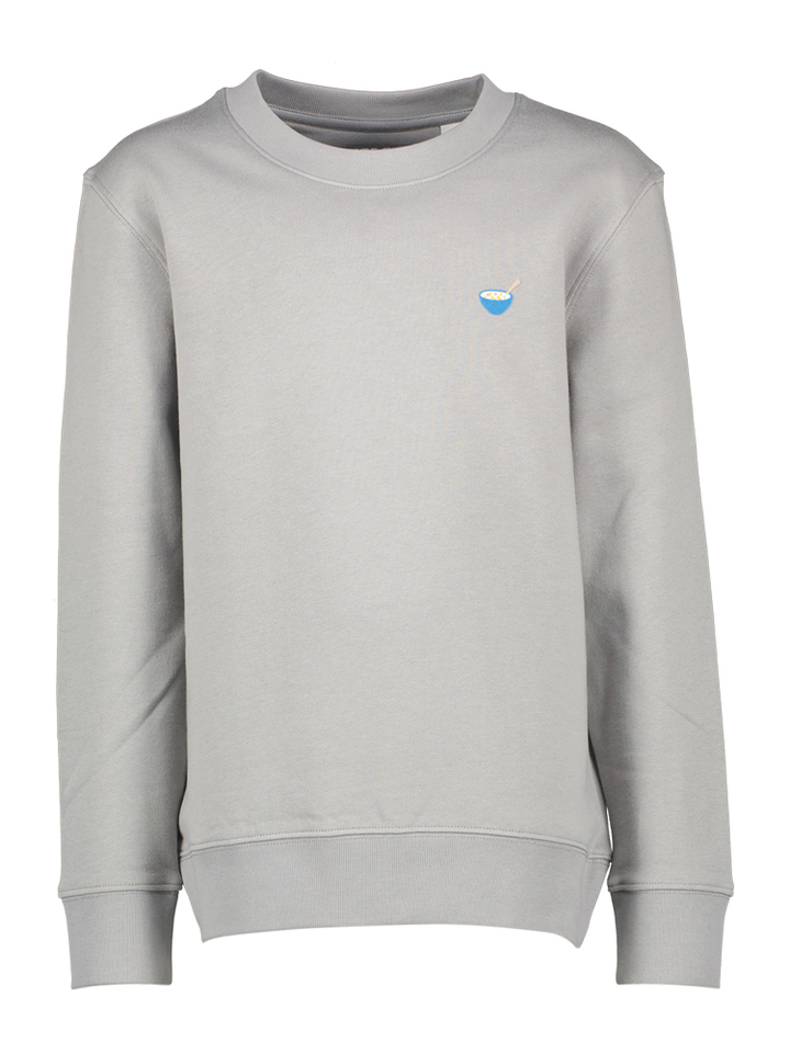 Grijze sweater Storm