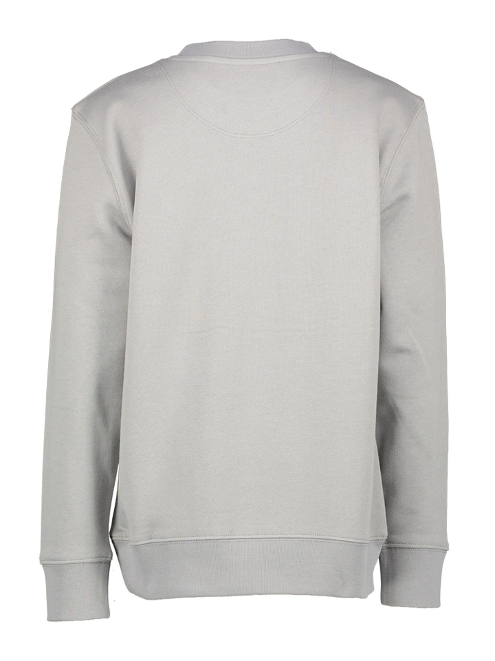 Grijze sweater Storm