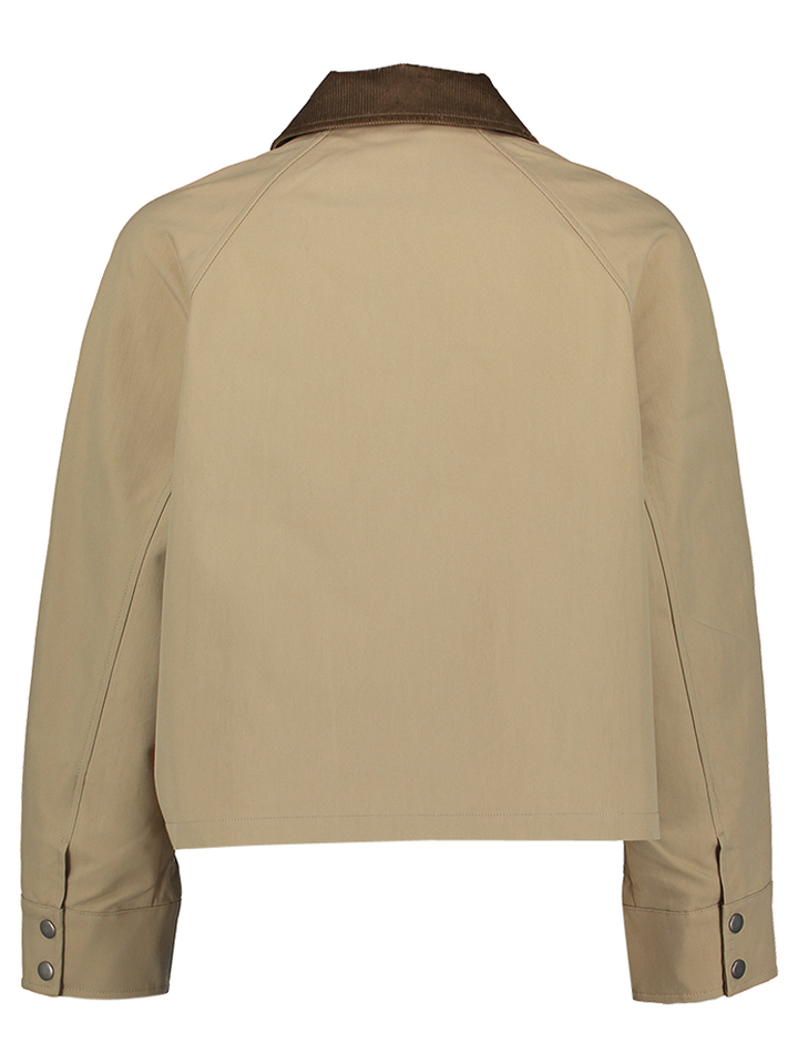Beige korte jas met kraag in velour Hack Bellerose
