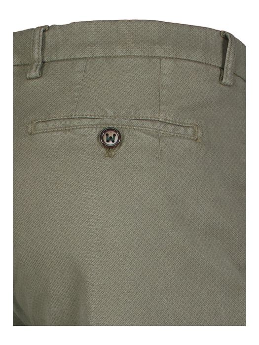 Groene chino Morello Berwich