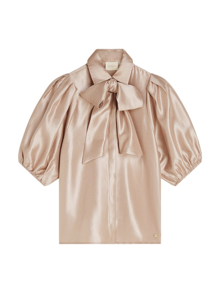 Roze metallic blouse Sylviana Josh V