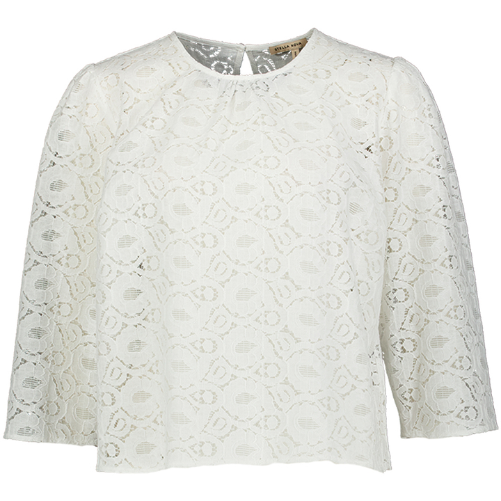 Witte bloes Stella Nova