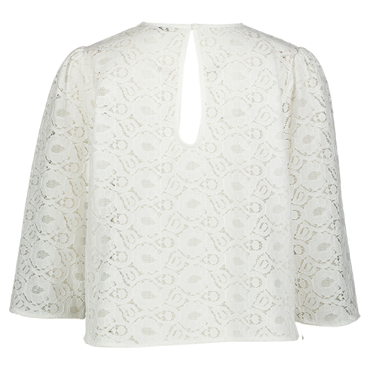 Witte bloes Stella Nova