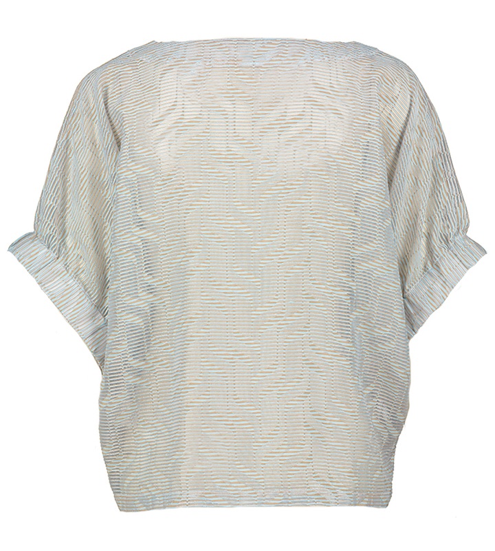 Blauwe bloes met structuur Geraldine Nathalie Vleeschouwer