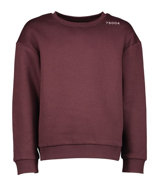 Bordeaux sweater Name It