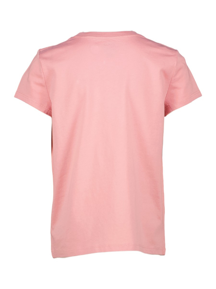Adirodack roze t-shirt met polo beer Ralph Lauren 