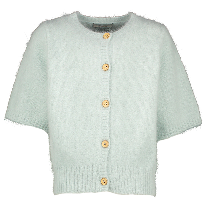 Muntgroene zachte gilet met korte mouwen Paige Blue Bay