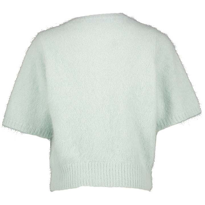 Muntgroene zachte gilet met korte mouwen Paige Blue Bay