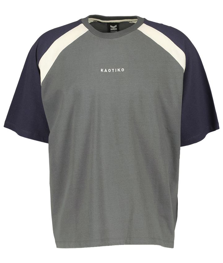 Grijze katoenen T-shirt met colorblock Lennox Cropped Kaotiko
