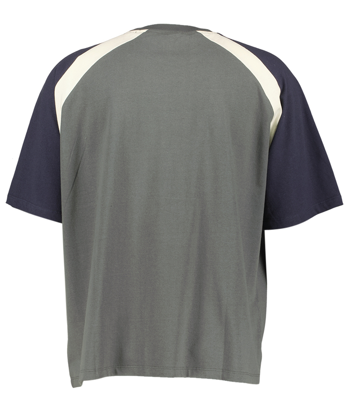 Grijze katoenen T-shirt met colorblock Lennox Cropped Kaotiko