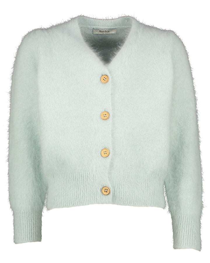 Muntgroene zachte gilet Phoebe Blue Bay 