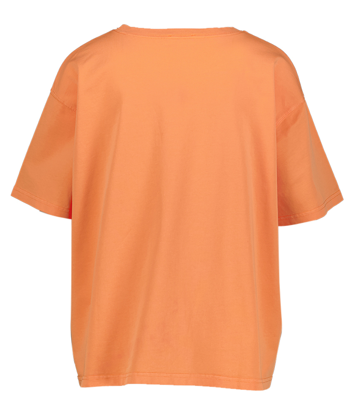 Oranje t-shirt Fiz American Vintage