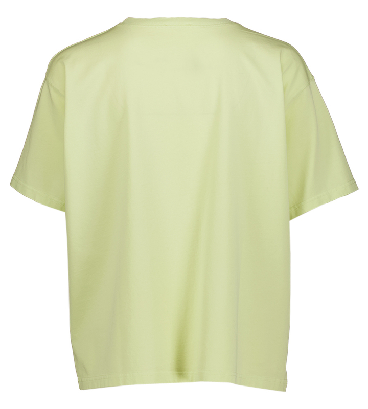 Geel groene Fiz t-shirt American Vintage