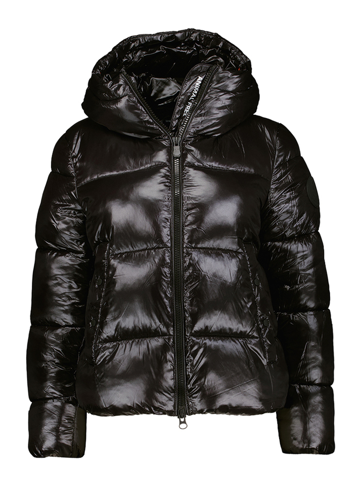 Zwarte puffer jacket met kap Biddy Love Save The Duck