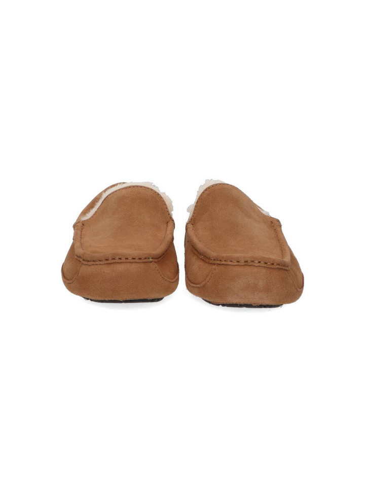 Chesnut pantoffels Ascot Ugg