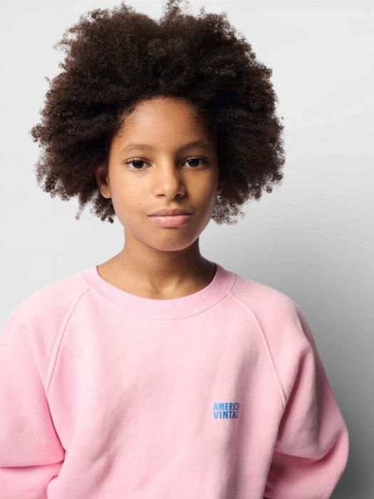 Roze sweater American Vintage