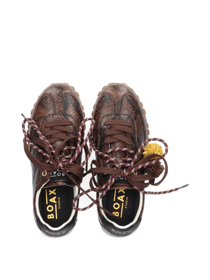 Bruine lage sneaker STRIKE Boax Studio