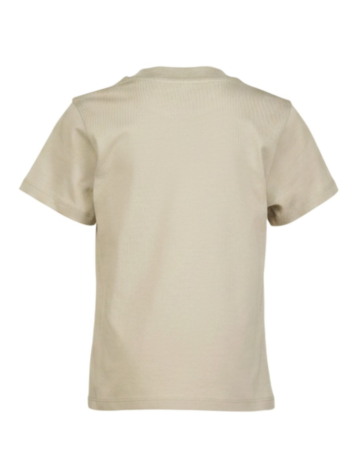 Groene t-shirt Stone Strom