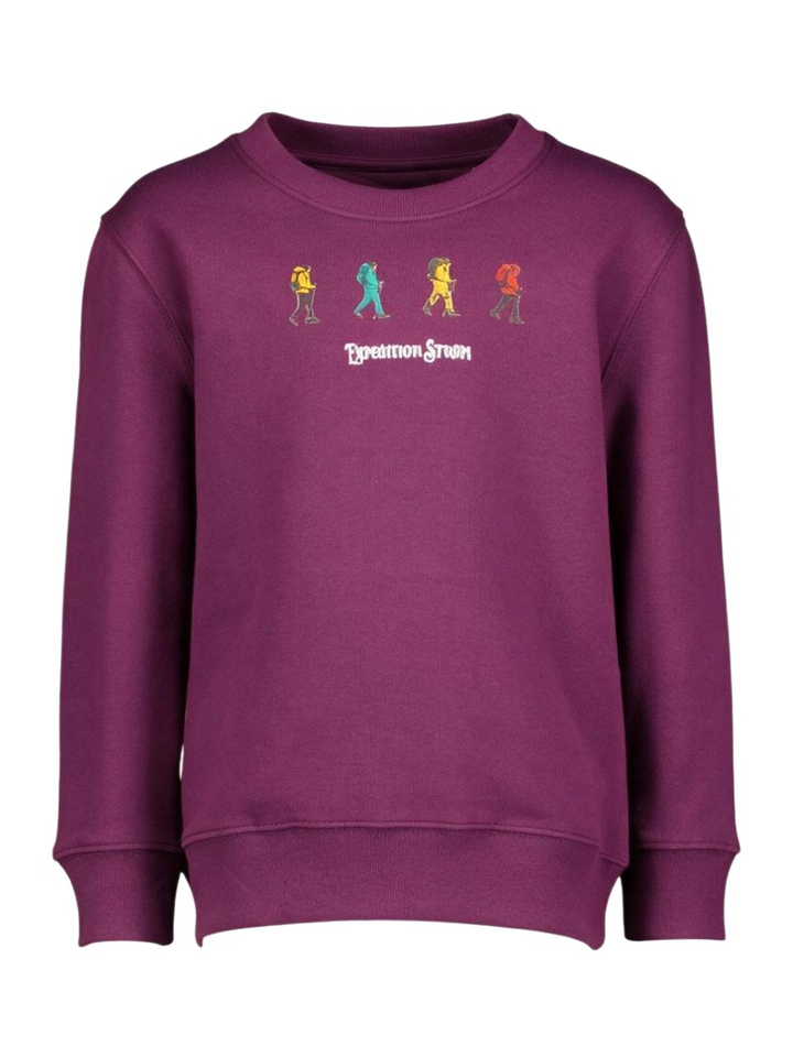 Bordeaux sweater Fp Hikers Storm