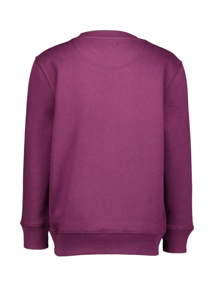 Bordeaux sweater Fp Hikers Storm