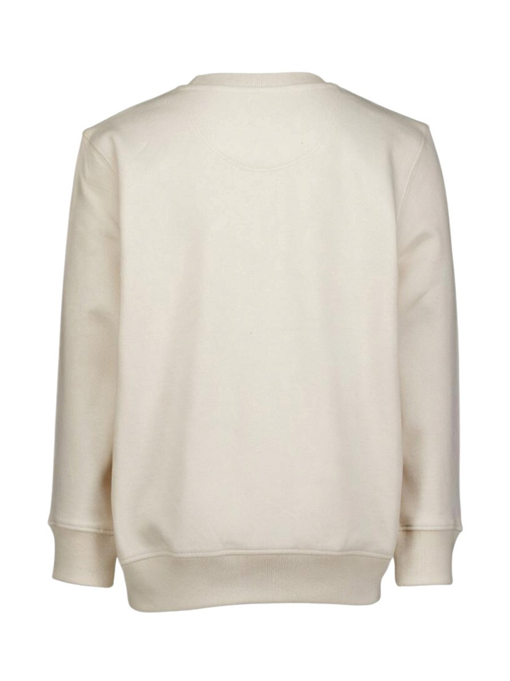 Beige sweater Squirrel Storm