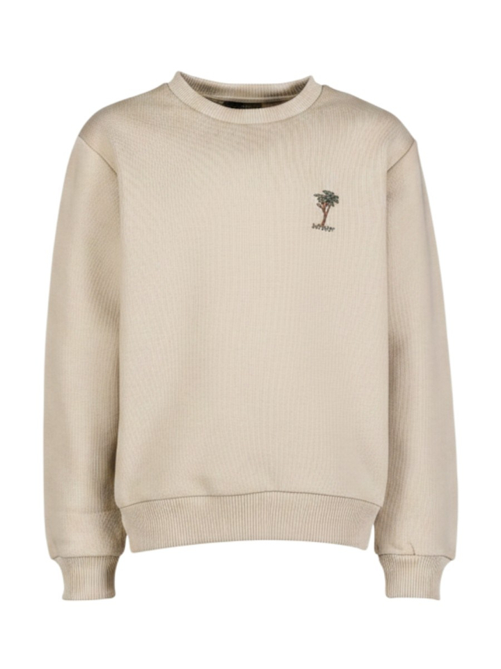 Beige katoenen sweater Antwrp