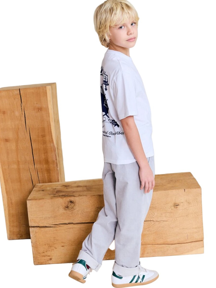 Grijze baggy fit in ribfluweel AO76
