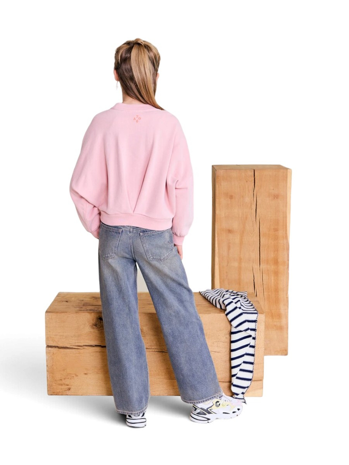 Roze trui met ronde hals AO76