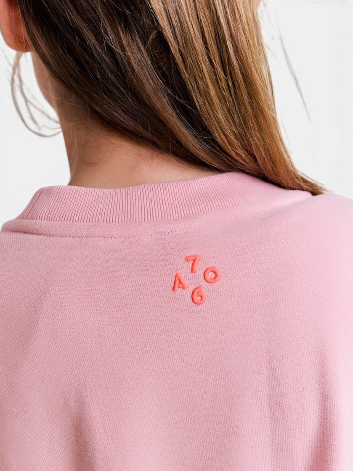 Roze trui met ronde hals AO76