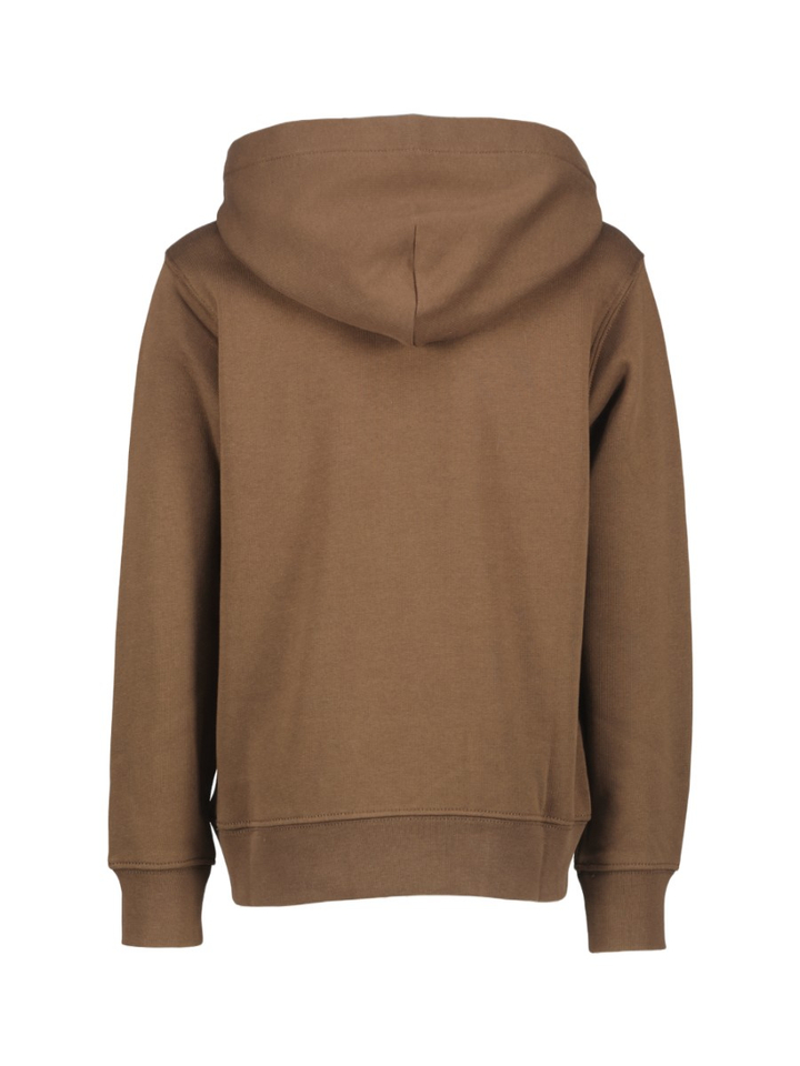 Bruine sweater met kap Ralph Lauren